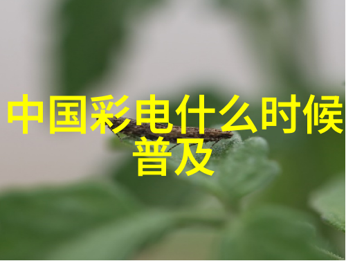 家庭美化如何正确理解和使用家装设计图纸