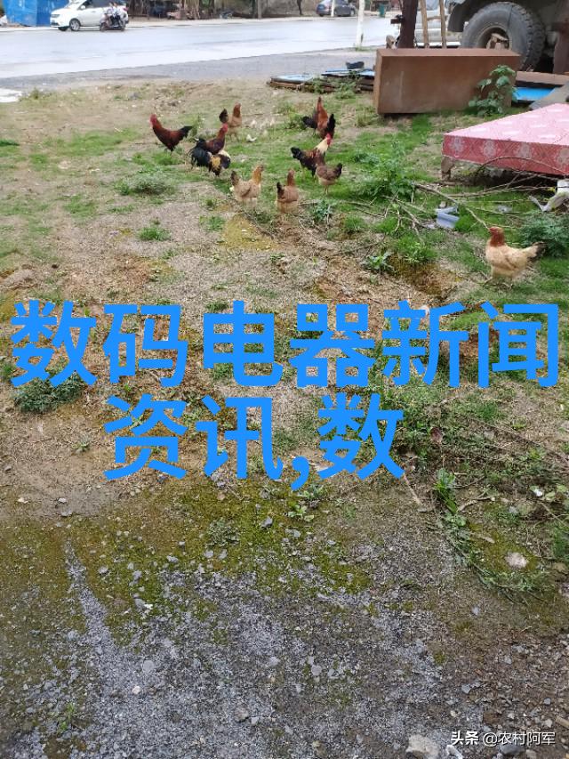 不锈钢的秘密揭开长期使用316不锈钢潜在危害的面纱