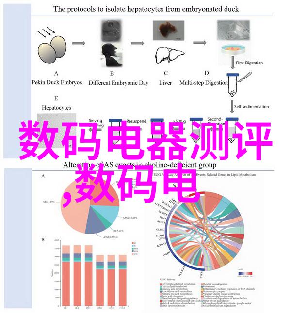 选择吉祥的名字生辰八字指南