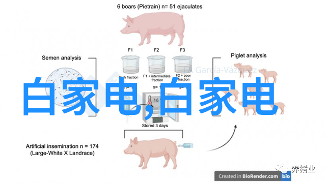 不良信息的曝光与管理互联网新挑战