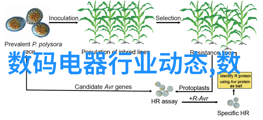 家居美学-温馨舒适客厅装修设计效果图的创意之选