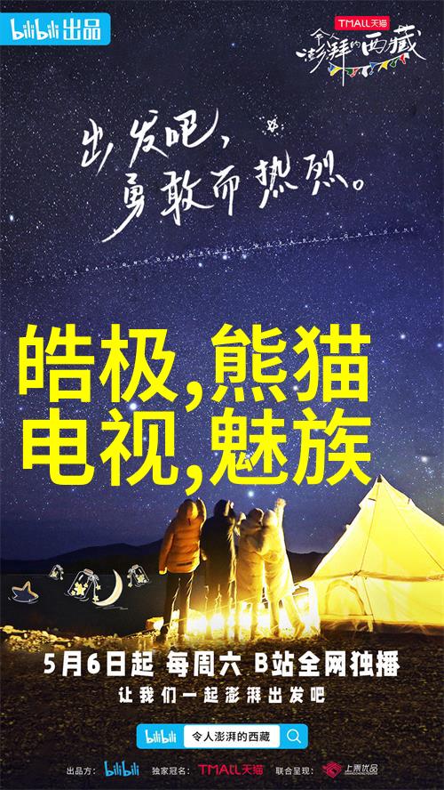 四川省软件测评中心确保数字化转型质量的技术 guarantor