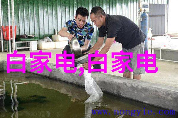 佳能新品发布会 - 探秘佳能最新科技革新照相界限的全新设备