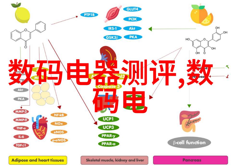 镜头下的梦想摄影的艺术探索