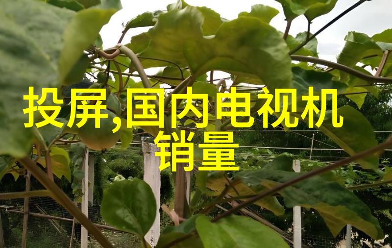 陕西财经职业技术学院-探索未来陕西财经职业技术学院的创新与发展