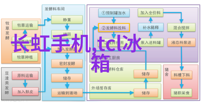 国际摄影技巧教程专业指南与实战操作