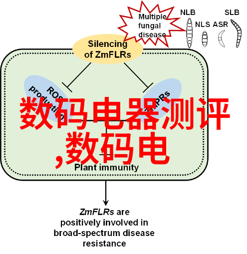 绿色工厂的守护者高效尾气吸收塔制造商