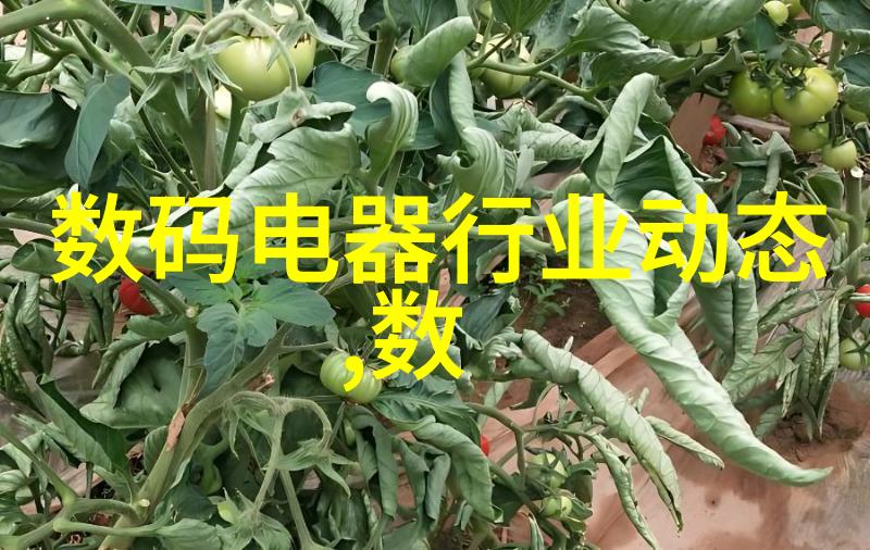 无沙发客厅装修效果图-巧用多功能家具打造温馨宜人的居所空间