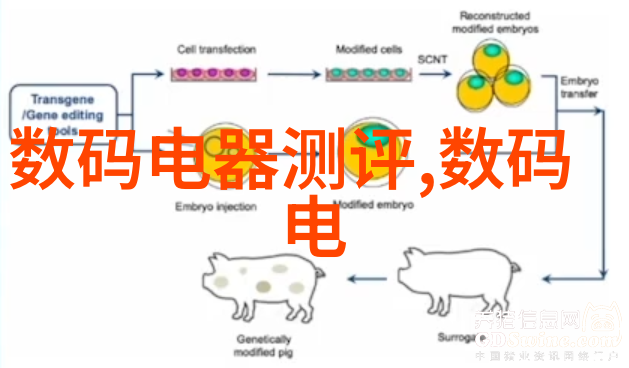 芯片之旅从设计到封装揭秘芯片制作的每一个关键步骤