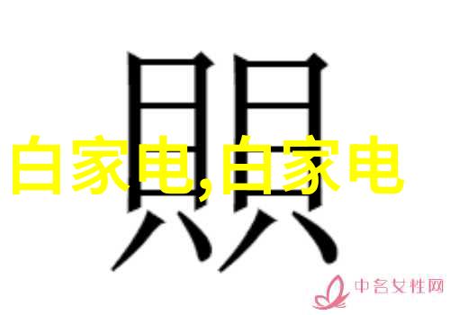 主题我是如何通过投资计划书和可行性研究报告打造成功项目的