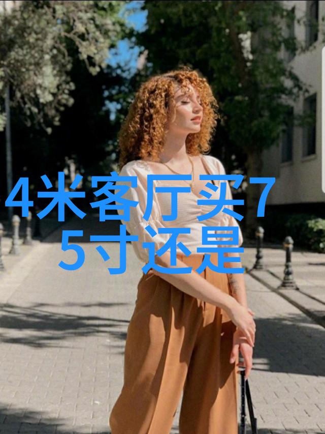 欧美私人家庭影院-奢华屏幕与沉浸式体验探索欧美私人家庭影院的艺术与科技融合