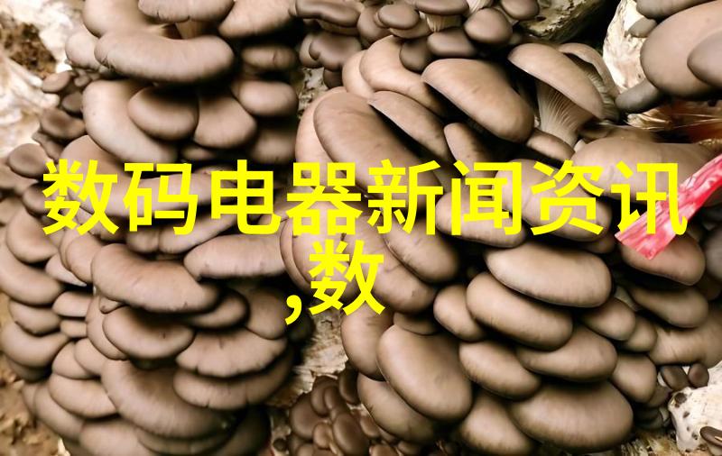 装饰板材的艺术之选探索家居美学新篇章