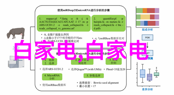 家居美学温馨大客厅的设计灵感