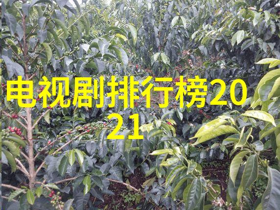 广州摄影基地网大全广州最佳摄影地点推荐