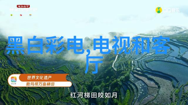 董明珠连任格力电器董事长坚持手机事业同时探索市场营销的专业魅力