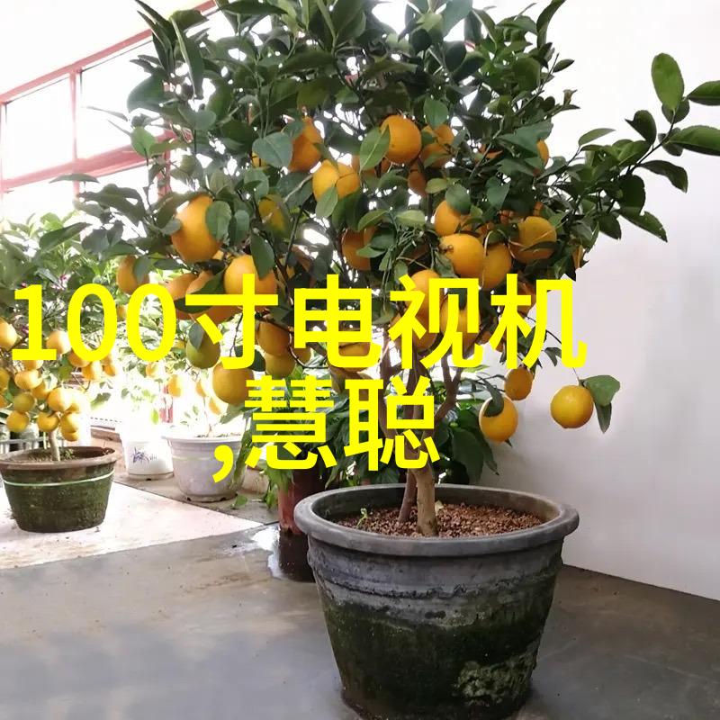 工作报告格式模板图片-精心构筑高效的工作报告撰写艺术