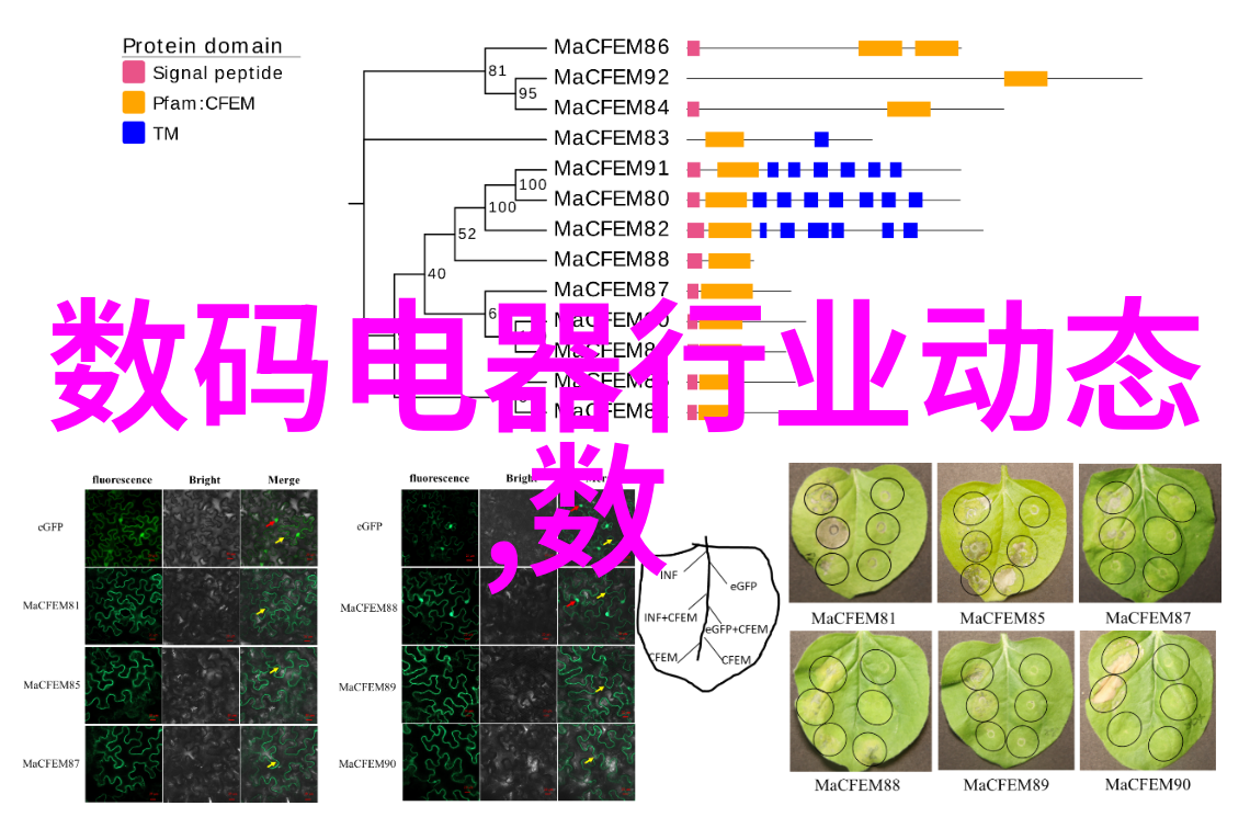 伺服系统设备-探索现代工业自动化中的关键组件