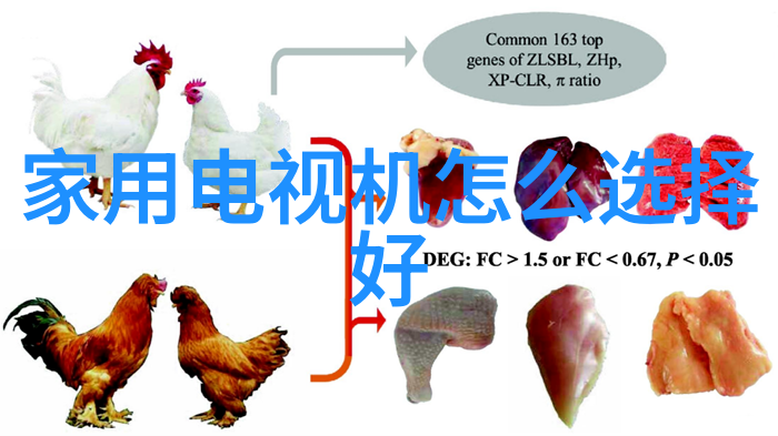 智能家居系统智能家居技术产品