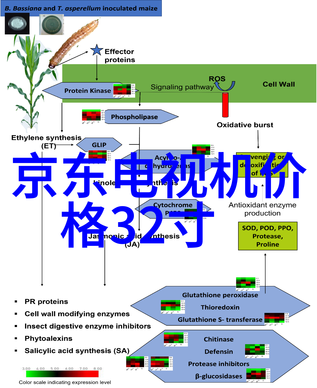 室内家庭装修的五个防水技巧犹如新型保温材料的智慧守护者