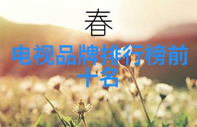 苹果手机13触摸未来颠覆可能