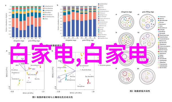 居家梦工厂创意无限的装饰艺术