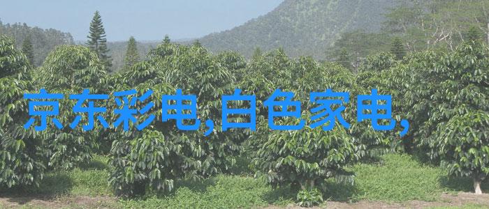 摄影技术基础知识我是如何掌握摄影技巧的