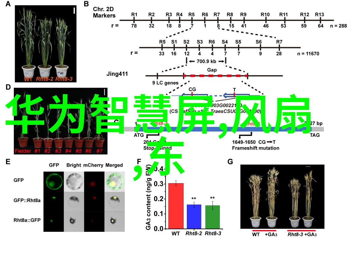 果树病虫害防治新方法探讨