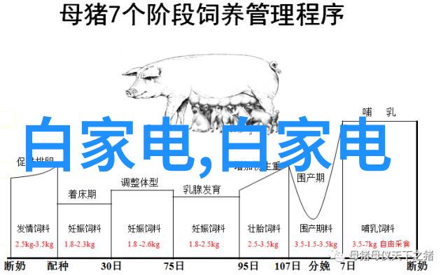 家居装修中的细节之美塑料排水板的选择与应用