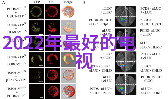 策划成功如何编制出色的可行性报告