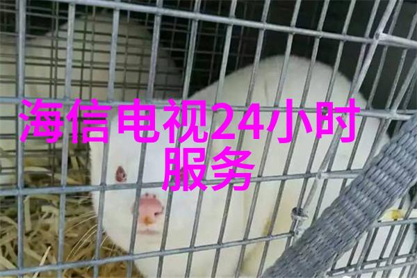 背叛与重生出轨丈夫的故事