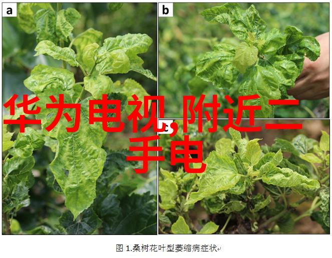 净化与污染小型医疗污水处理系统的双面世界