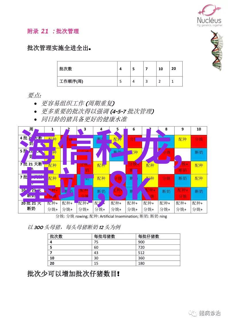 欧式奢华探索典雅与舒适的完美结合欧式卧室装修效果图解析