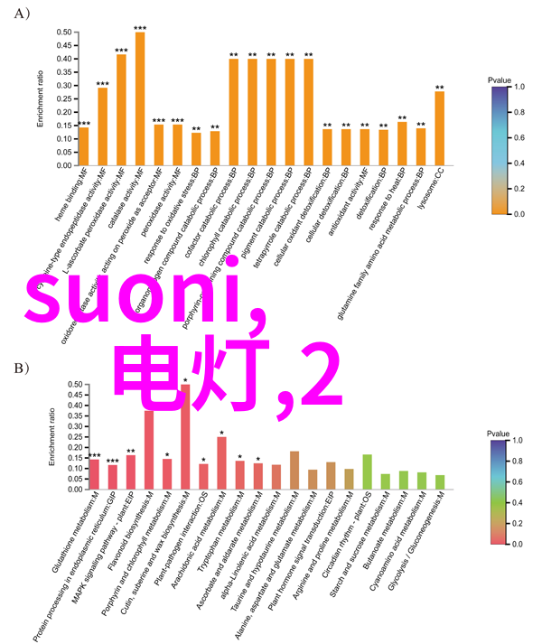 智能化革命仪器仪表的自动化新纪元