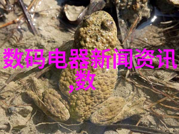 新闻摄影作品我的镜头捕捉了历史的瞬间