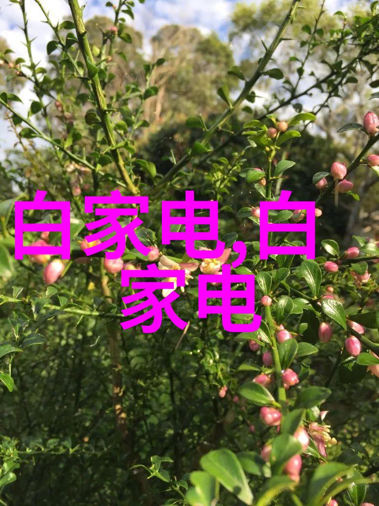 智能装备属于什么大类