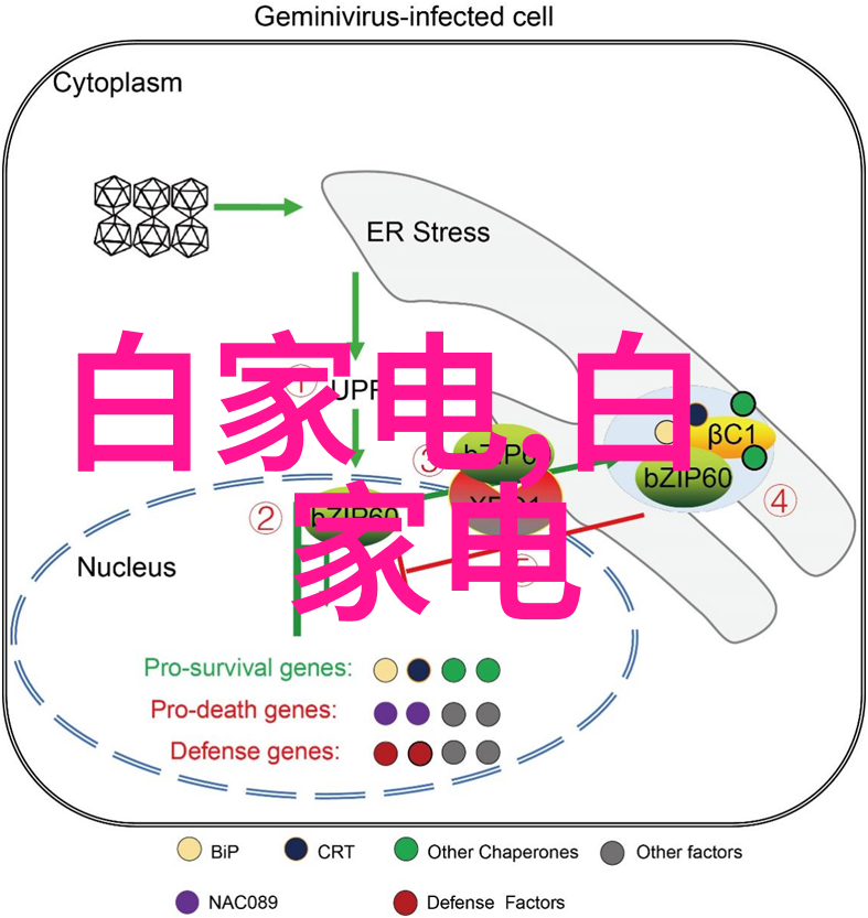 冷库制冷设备维持食品安全的关键技术与解决方案