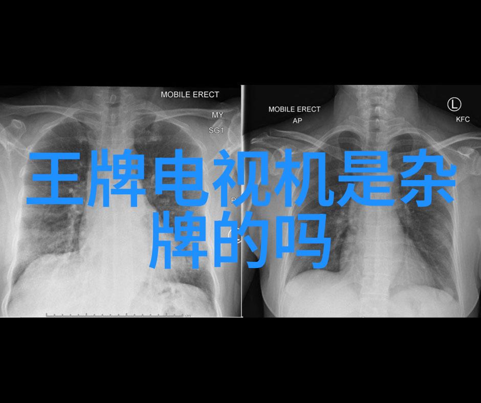 工控低压变频器设备-智能化工控系统中的低压变频器技术革新与应用概述