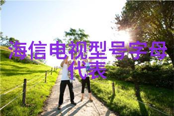 电视机暗幕持续排名前十名2020的沉默巨兽