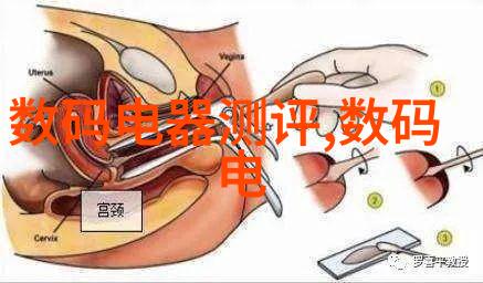 探索艺术之美TXT无删减的审美追求