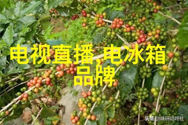 镜头背后摄影师的不易