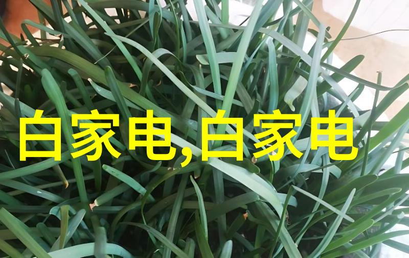 新型保温材料-高效节能革命新型保温材料的崛起与未来趋势