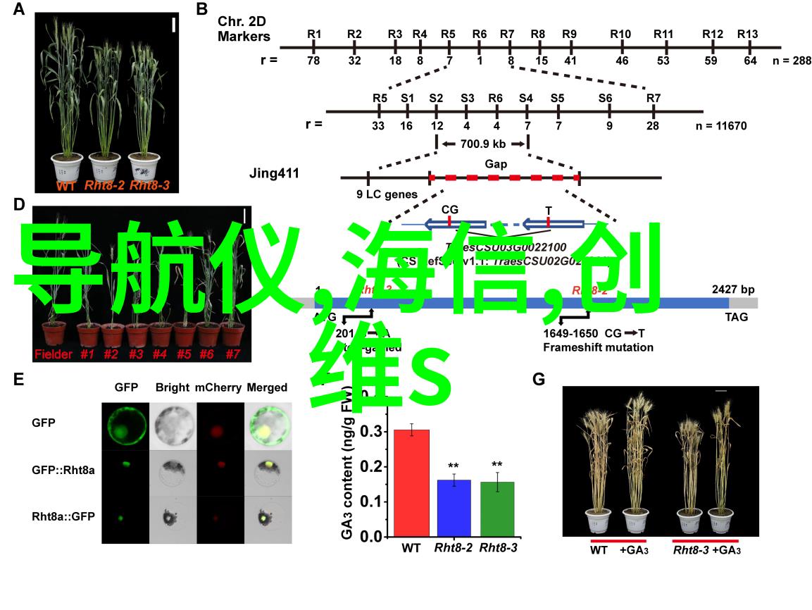 向领导写报告的模板我的日常小技巧分享