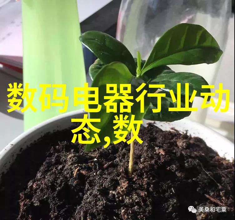 证金大势变深度解析上证指数走势的关键因素