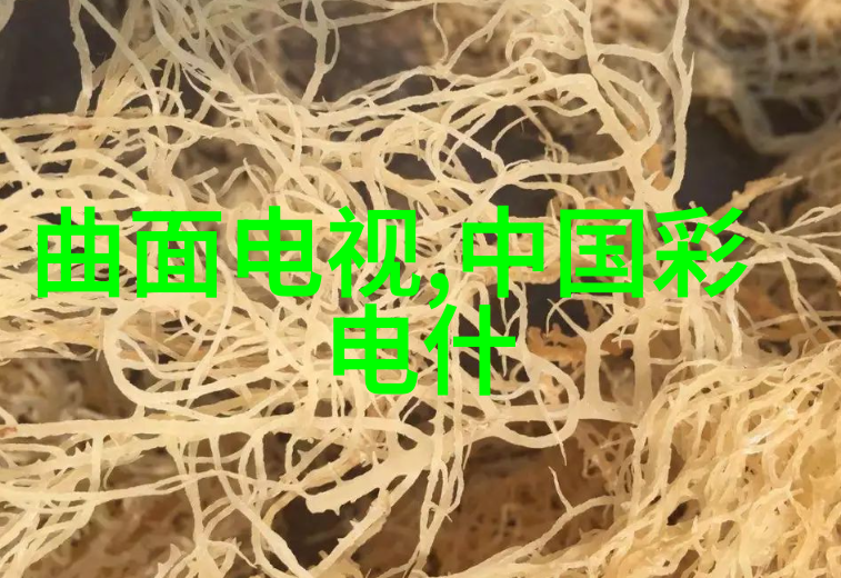 永诺传说揭秘古代巫师和神话生物