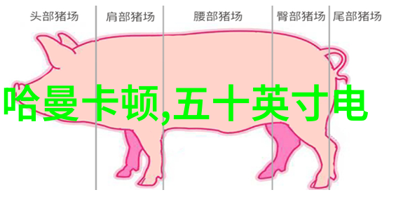 家庭装修网揭秘专职设计师与兼职设计师的差异大公开