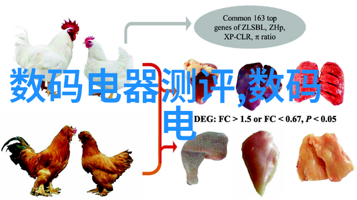 对于初学者来说学习如何使用响应式锅具是不是很困难呢