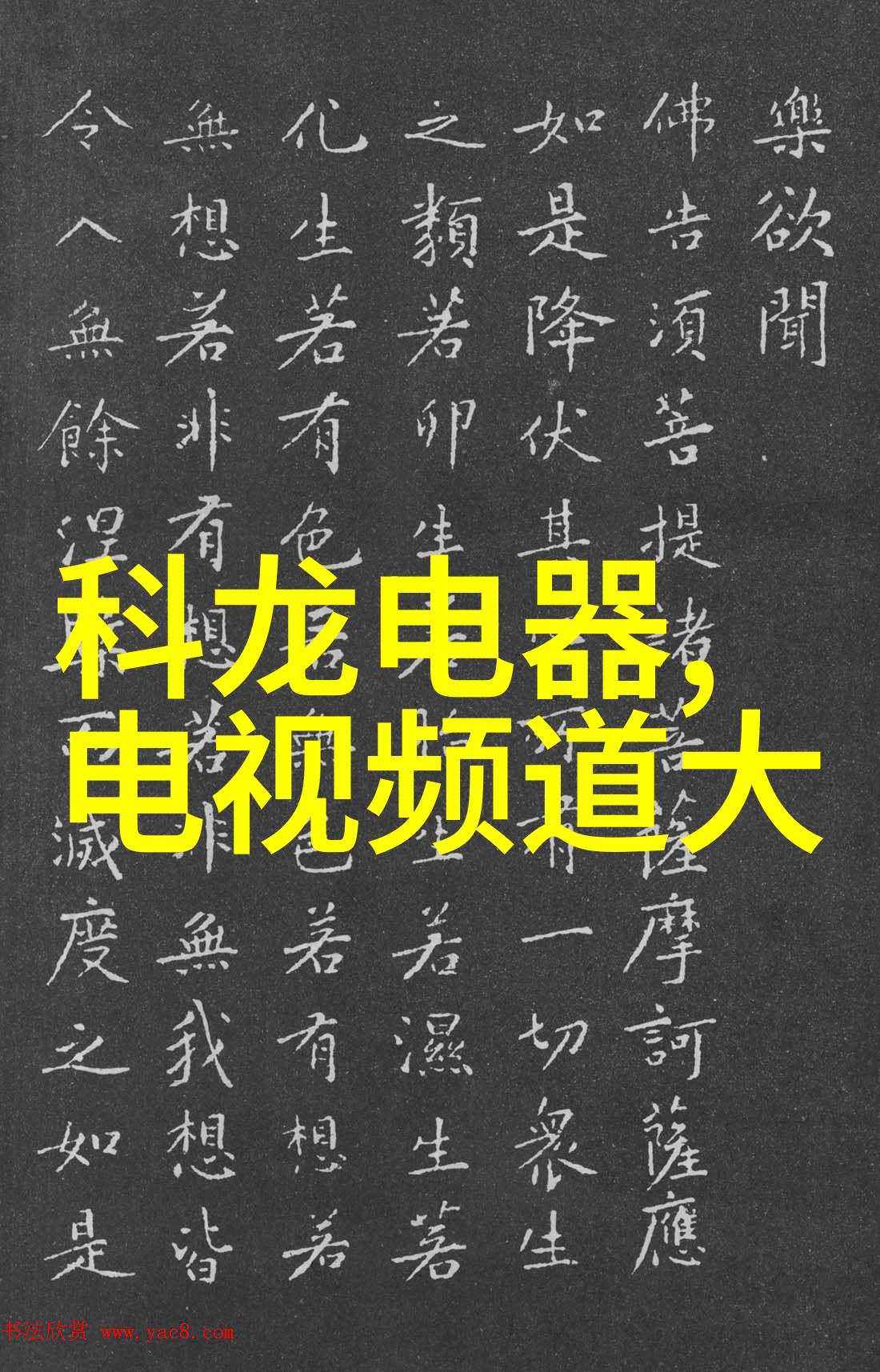 电子商务时代的女性精英深度探究女生在这一领域的就业前景与职业路径