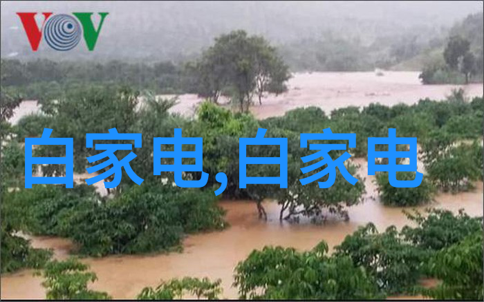 在电源技术论坛上探索自然界中的开关电源工作原理