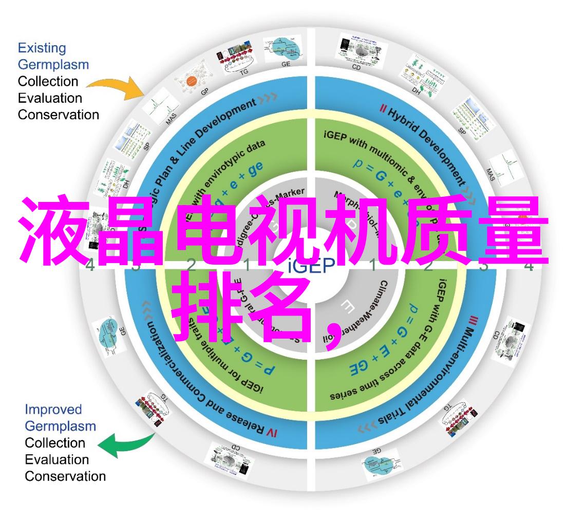 电力与水利的双重维护确保家园安全稳定运行