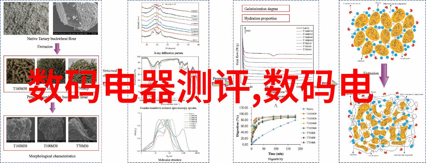 数字相机的故事捕捉瞬间的魅力